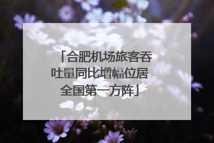 合肥机场旅客吞吐量同比增幅位居全国第一方阵