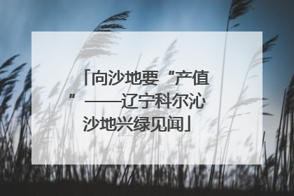向沙地要“产值”——辽宁科尔沁沙地兴绿见闻