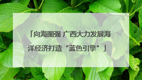 向海图强 广西大力发展海洋经济打造“蓝色引擎”
