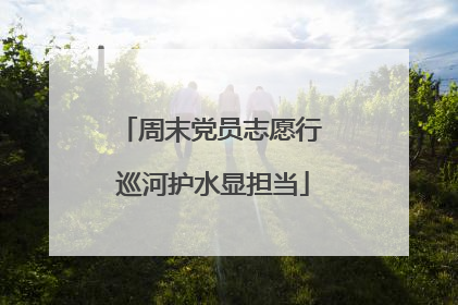 周末党员志愿行 巡河护水显担当
