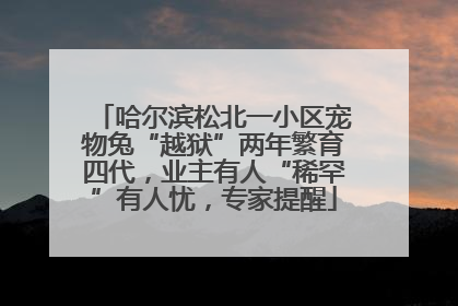哈尔滨松北一小区宠物兔“越狱”两年繁育四代，业主有人“稀罕”有人忧，专家提醒