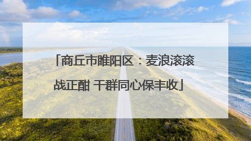 商丘市睢阳区：麦浪滚滚战正酣 干群同心保丰收