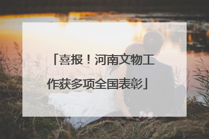 喜报！河南文物工作获多项全国表彰