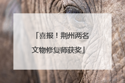 喜报！荆州两名文物修复师获奖