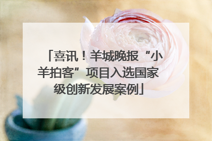 喜讯！羊城晚报“小羊拍客”项目入选国家级创新发展案例