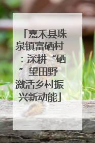 嘉禾县珠泉镇富硒村：深耕“硒”望田野 激活乡村振兴新动能