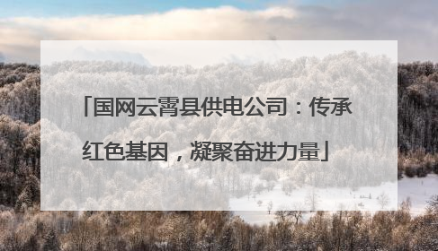 国网云霄县供电公司：传承红色基因，凝聚奋进力量
