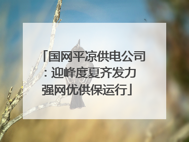 国网平凉供电公司：迎峰度夏齐发力 强网优供保运行