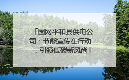 国网平和县供电公司：节能宣传在行动，引领低碳新风尚