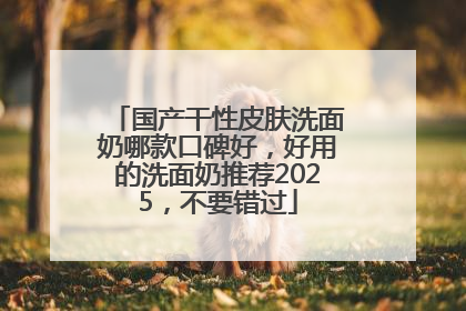 国产干性皮肤洗面奶哪款口碑好，好用的洗面奶推荐2025，不要错过