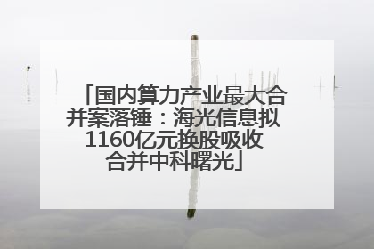 国内算力产业最大合并案落锤：海光信息拟1160亿元换股吸收合并中科曙光