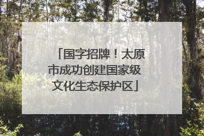 国字招牌！太原市成功创建国家级文化生态保护区