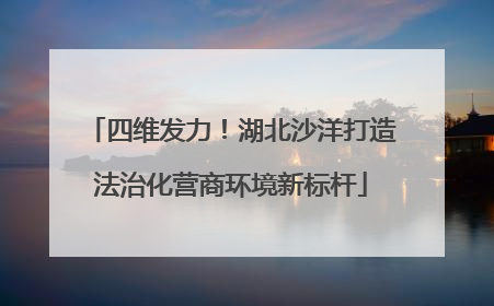 四维发力！湖北沙洋打造法治化营商环境新标杆