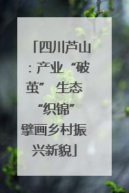 四川芦山：产业“破茧” 生态“织锦” 擘画乡村振兴新貌