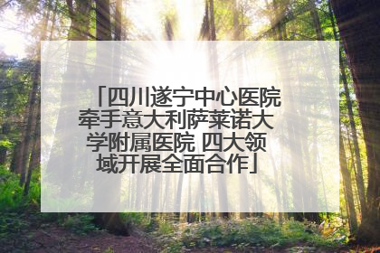 四川遂宁中心医院牵手意大利萨莱诺大学附属医院 四大领域开展全面合作