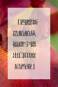 四艘新造船舶从福建宁德出口印度尼西亚