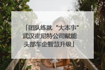 团队练就“大本事” 武汉霍尼特公司赋能头部车企智慧升级