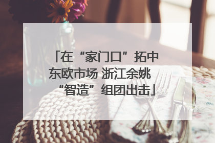 在“家门口”拓中东欧市场 浙江余姚“智造”组团出击