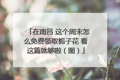 在南昌 这个周末怎么免费领取栀子花 看这篇就够啦（图）