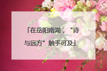 在岳阳南湖，“诗与远方”触手可及