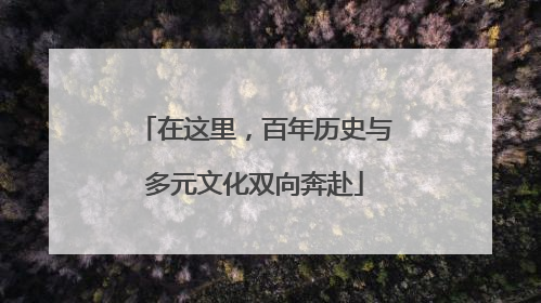 在这里，百年历史与多元文化双向奔赴