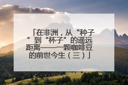 在非洲，从“种子”到“杯子”的遥远距离——一颗咖啡豆的前世今生（三）