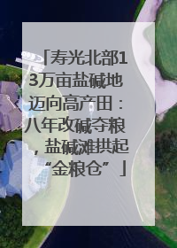 寿光北部13万亩盐碱地迈向高产田：八年改碱夺粮，盐碱滩拱起“金粮仓”