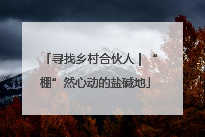 寻找乡村合伙人｜“棚”然心动的盐碱地