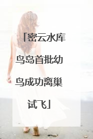 密云水库鸟岛首批幼鸟成功离巢试飞