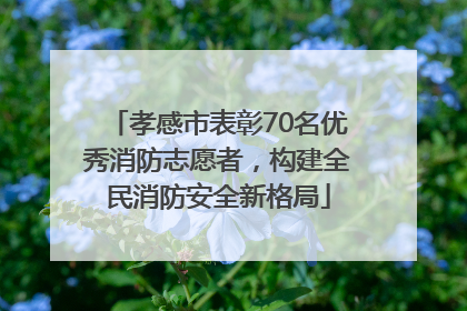 孝感市表彰70名优秀消防志愿者，构建全民消防安全新格局