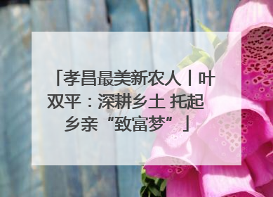 孝昌最美新农人丨叶双平：深耕乡土 托起乡亲“致富梦”