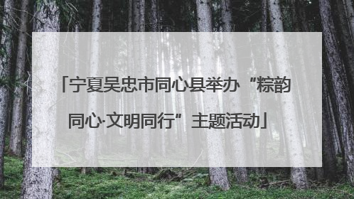 宁夏吴忠市同心县举办“粽韵同心·文明同行”主题活动