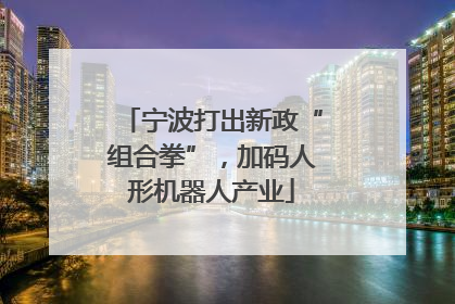 宁波打出新政“组合拳”，加码人形机器人产业