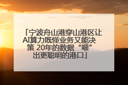 宁波舟山港穿山港区让AI算力既懂业务又能决策 20年的数据“喂”出更聪明的港口