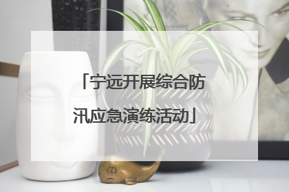 宁远开展综合防汛应急演练活动