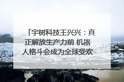 宇树科技王兴兴：真正解放生产力前 机器人格斗会成为全球受欢迎的赛事｜科技观察