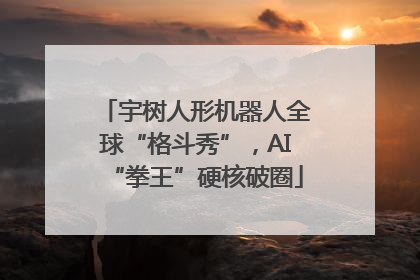 宇树人形机器人全球“格斗秀”，AI“拳王”硬核破圈