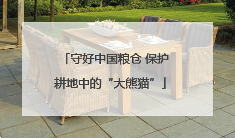 守好中国粮仓 保护耕地中的“大熊猫”