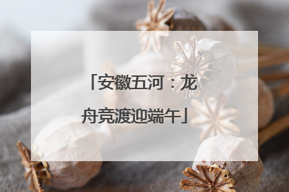 安徽五河：龙舟竞渡迎端午