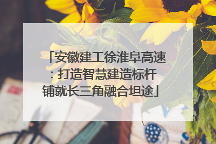 安徽建工徐淮阜高速：打造智慧建造标杆 铺就长三角融合坦途