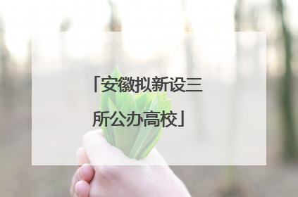 安徽拟新设三所公办高校