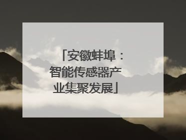 安徽蚌埠：智能传感器产业集聚发展