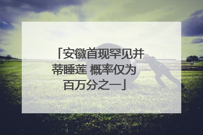 安徽首现罕见并蒂睡莲 概率仅为百万分之一