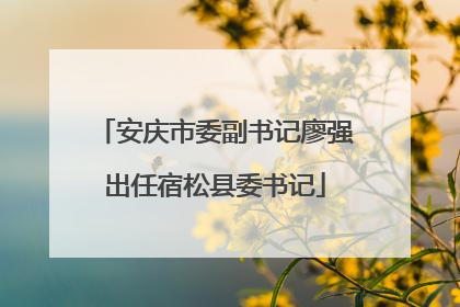安庆市委副书记廖强出任宿松县委书记