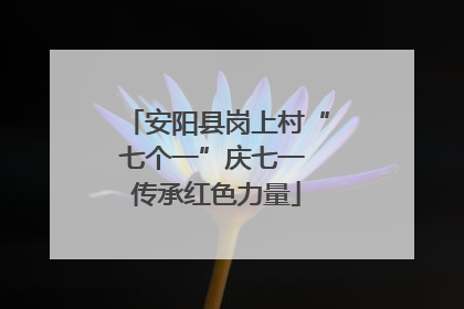 安阳县岗上村“七个一”庆七一 传承红色力量