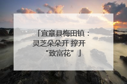 宜章县梅田镇：灵芝朵朵开 撑开“致富花”
