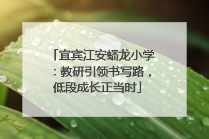 宜宾江安蟠龙小学：教研引领书写路，低段成长正当时