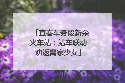 宜春车务段新余火车站：站车联动劝返离家少女