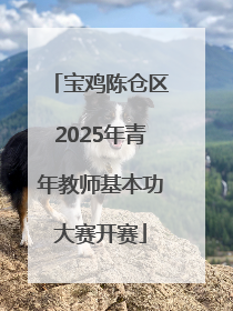 宝鸡陈仓区2025年青年教师基本功大赛开赛