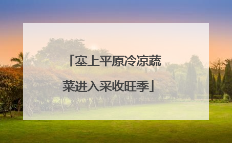 塞上平原冷凉蔬菜进入采收旺季